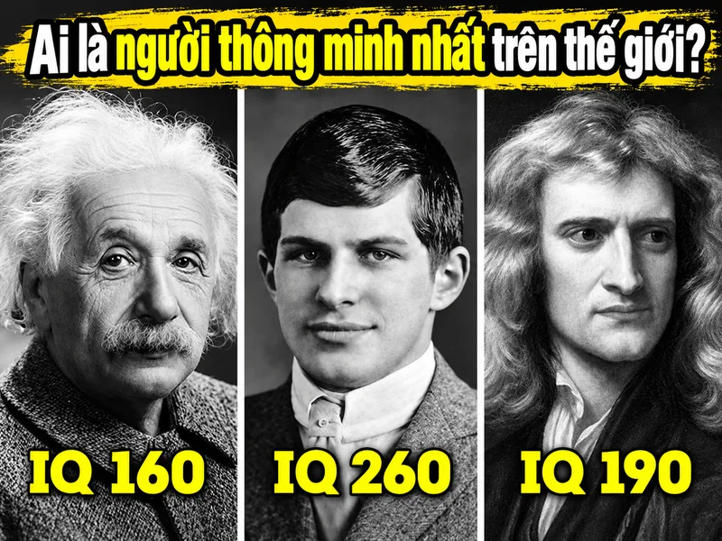 Trí thông minh có nhiều biểu hiện và không thể xếp hạng tuyệt đối